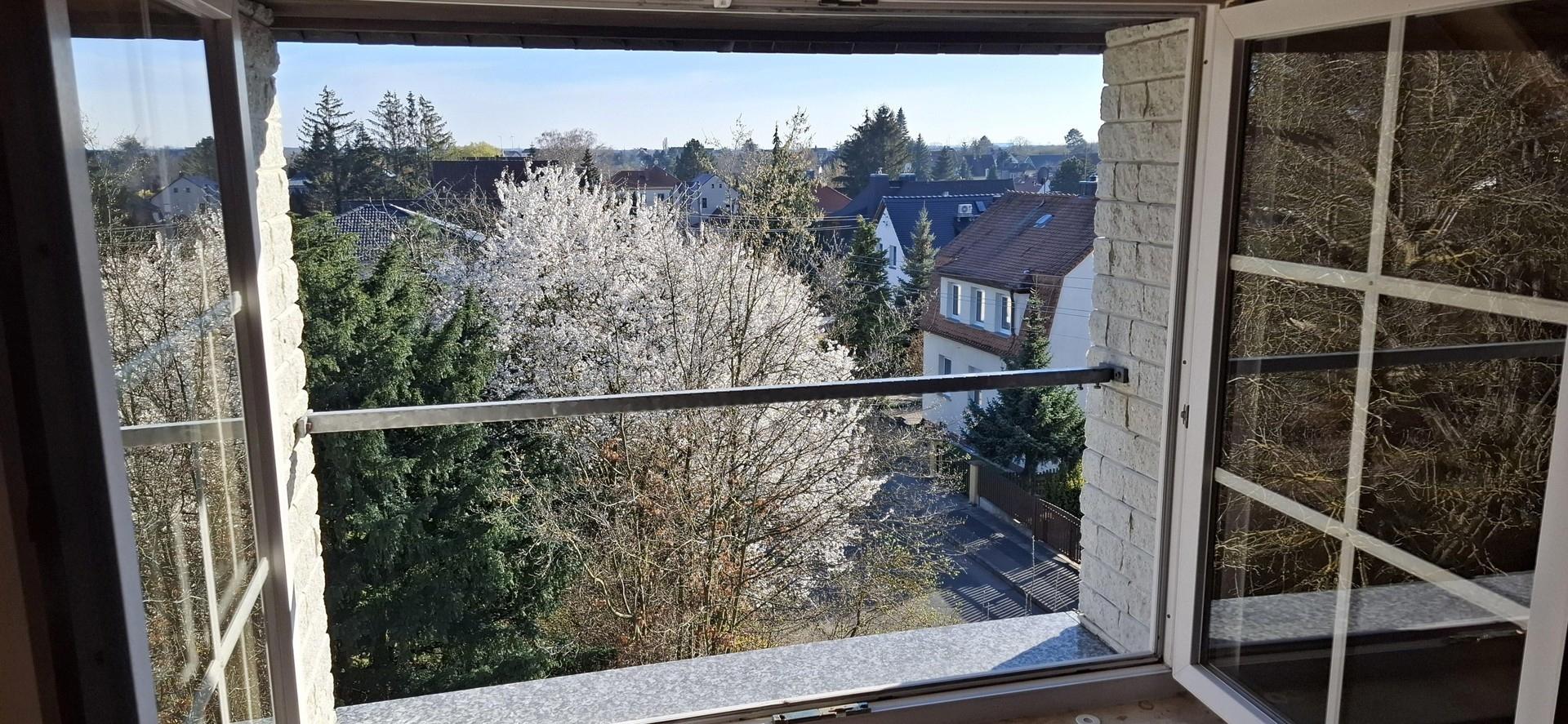 Blick aus dem Fenster