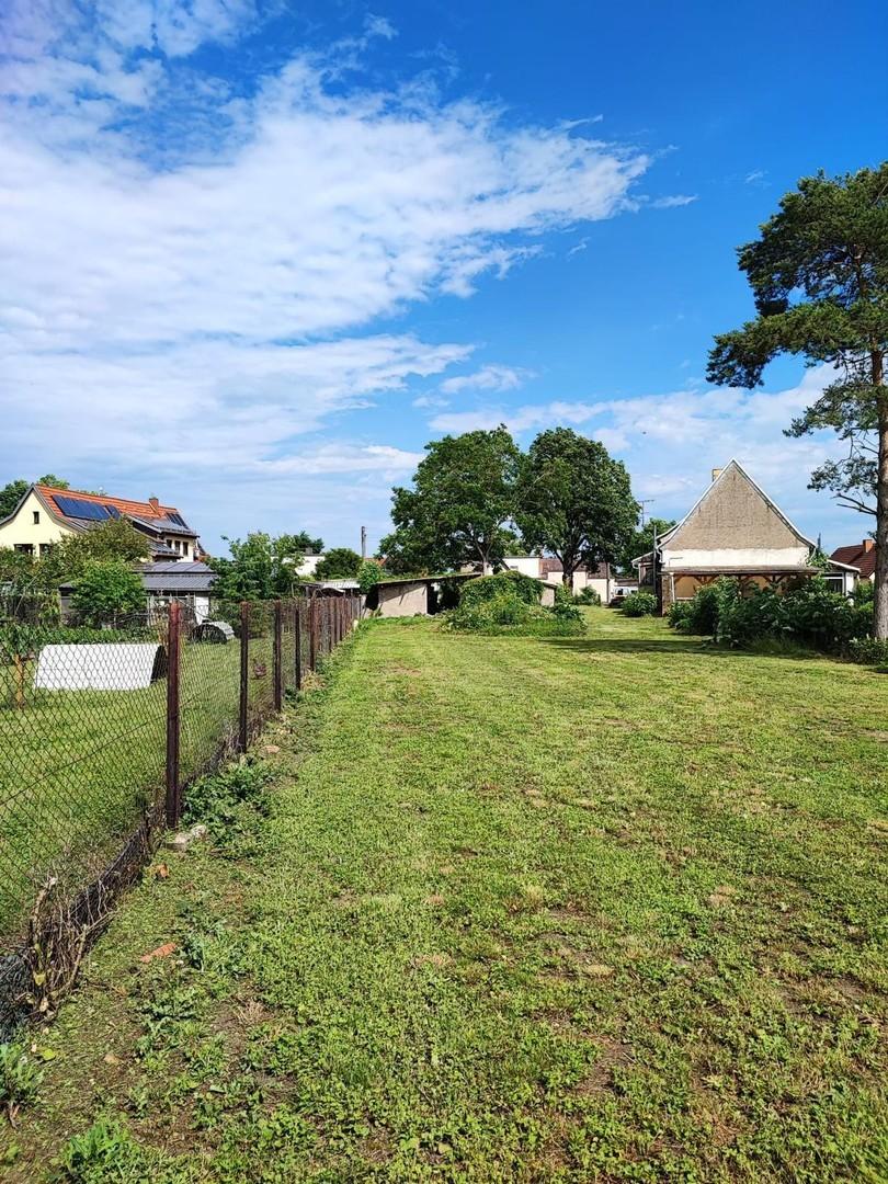hinterer Bereich Garten