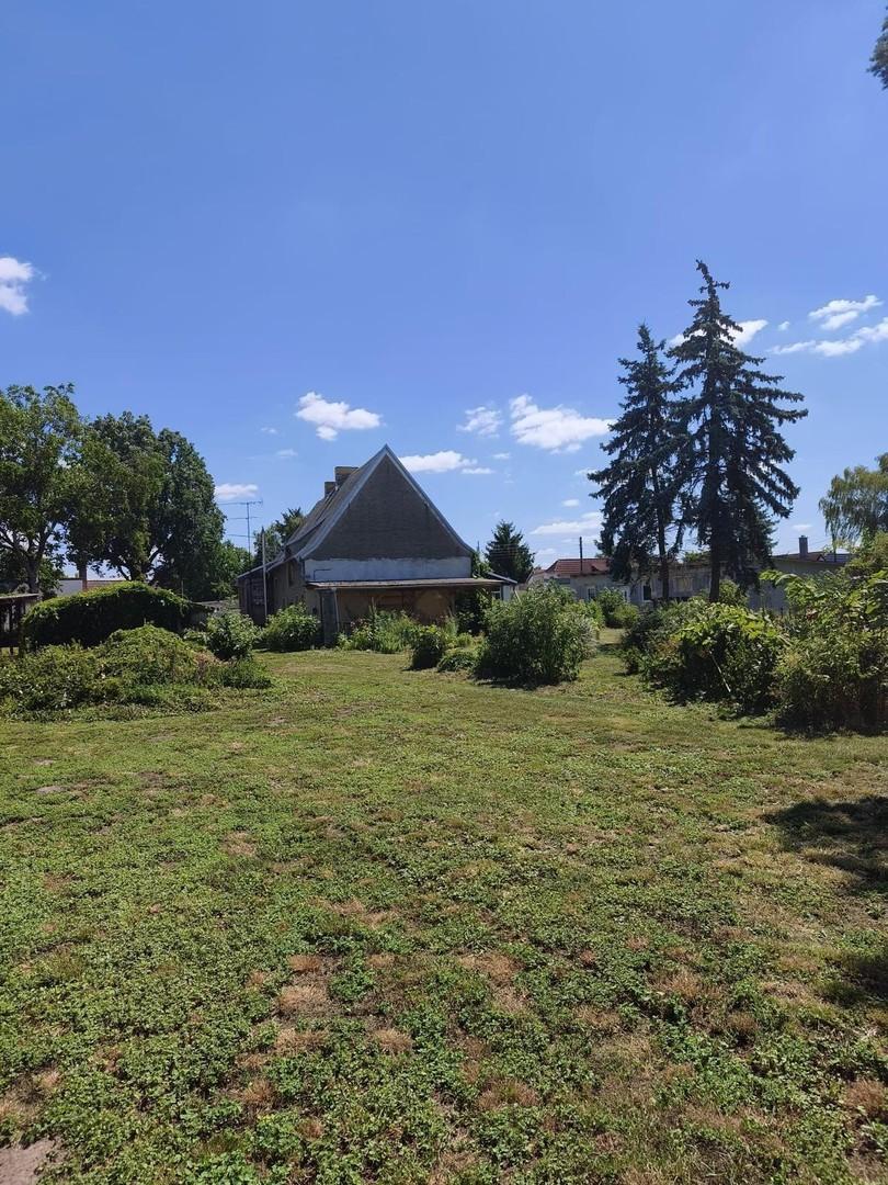 wunderschöner Garten