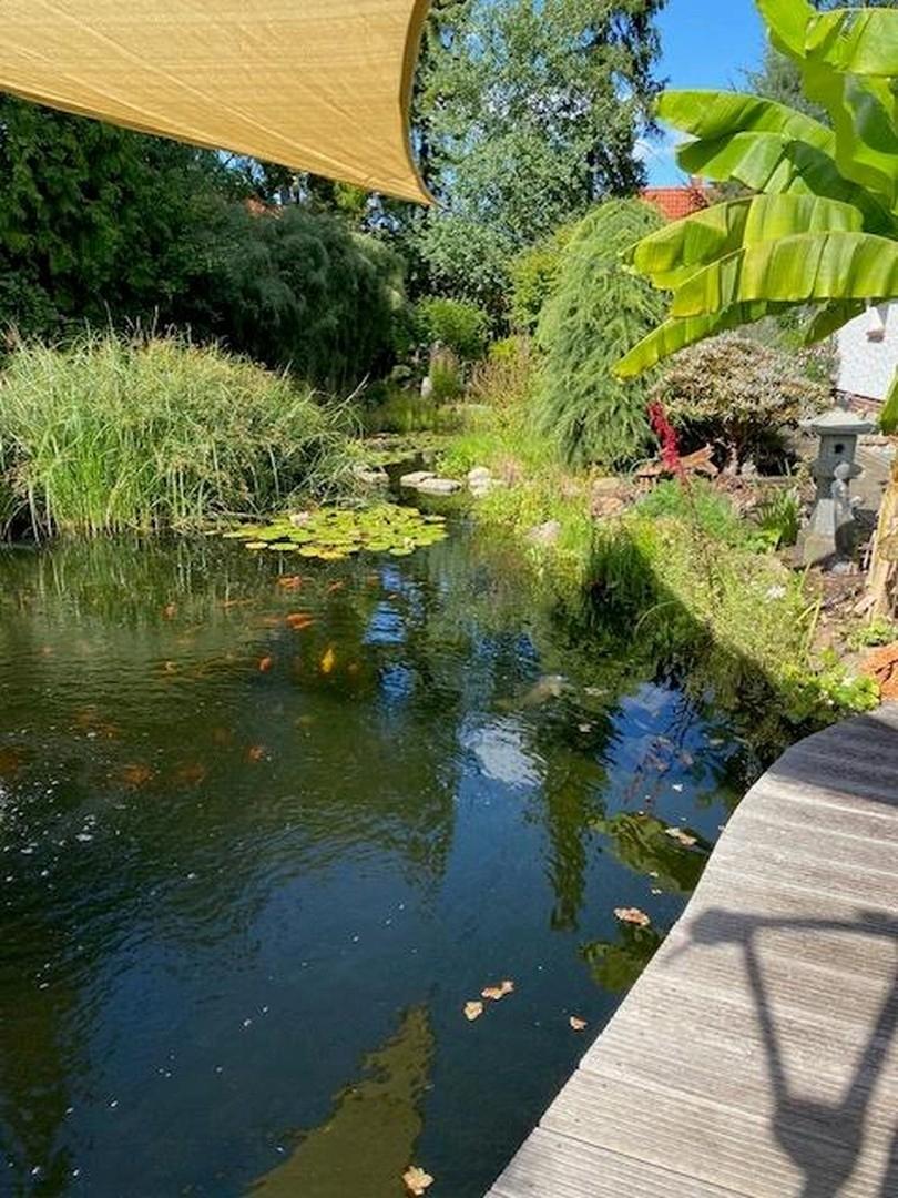 Teich