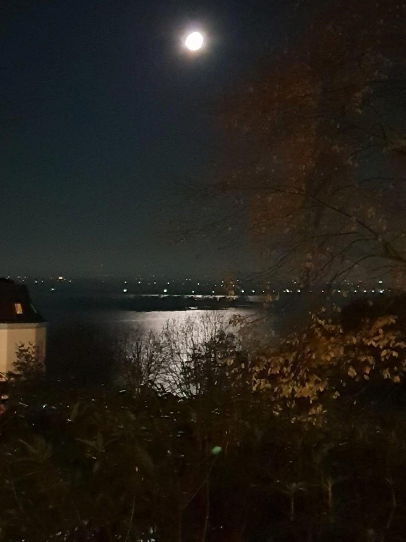 Mondaufgang über der Elbe