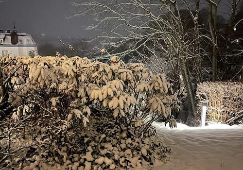 Garten im Schnee bei Nacht