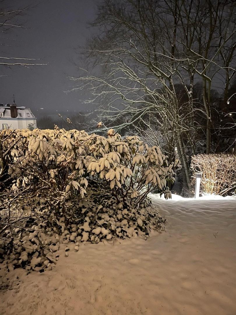 Garten im Schnee bei Nacht