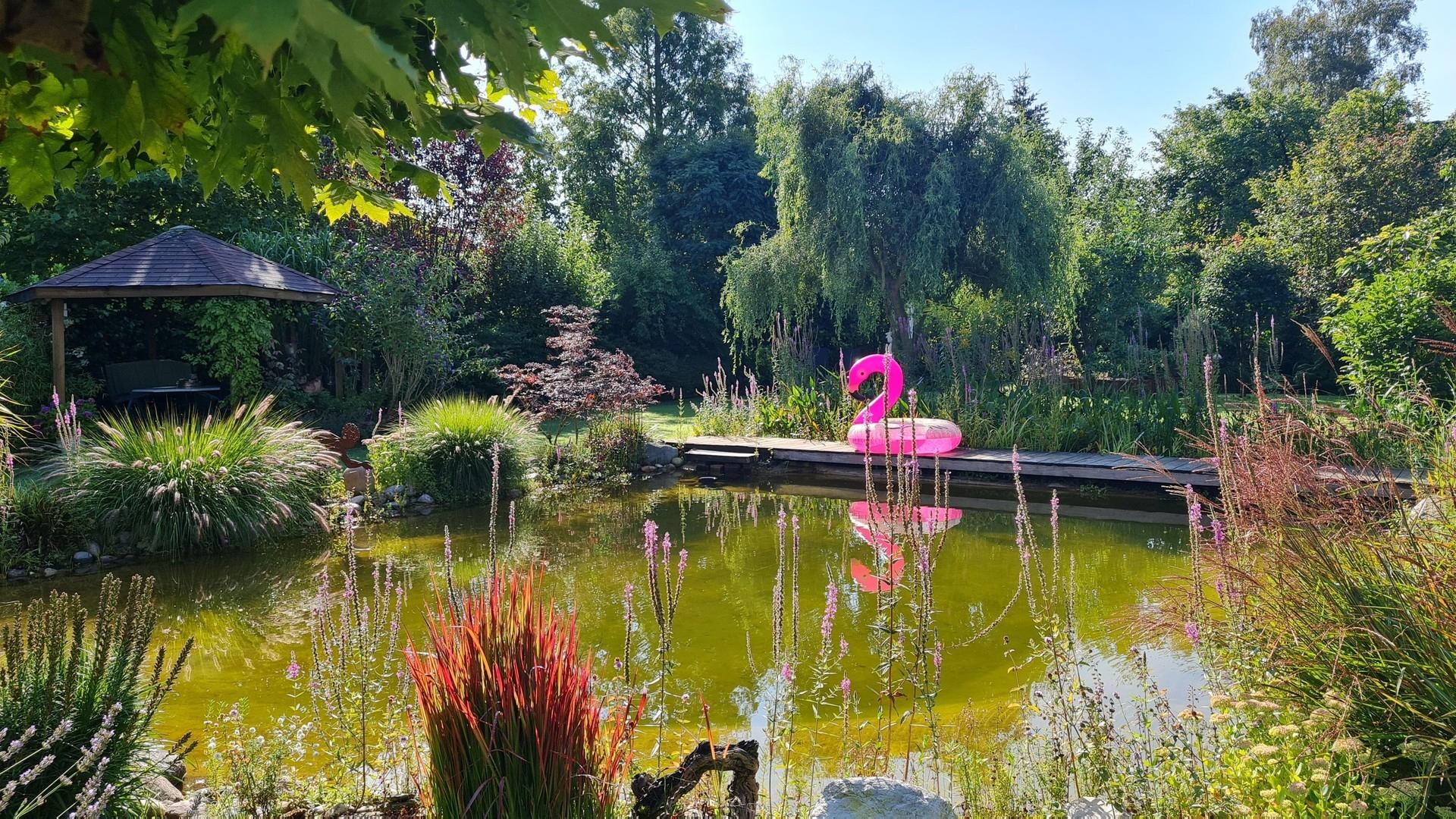 Schwimmteich