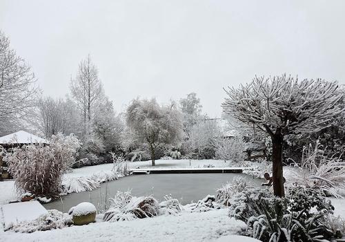 Garten im Winter