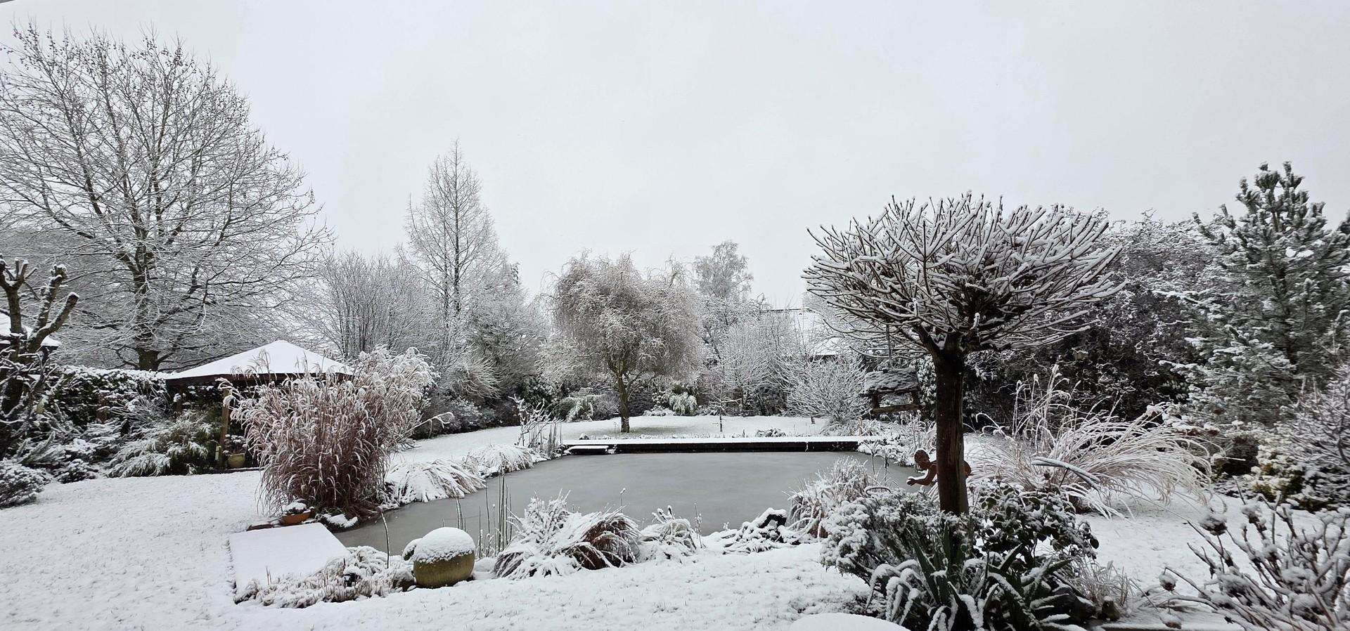 Garten im Winter