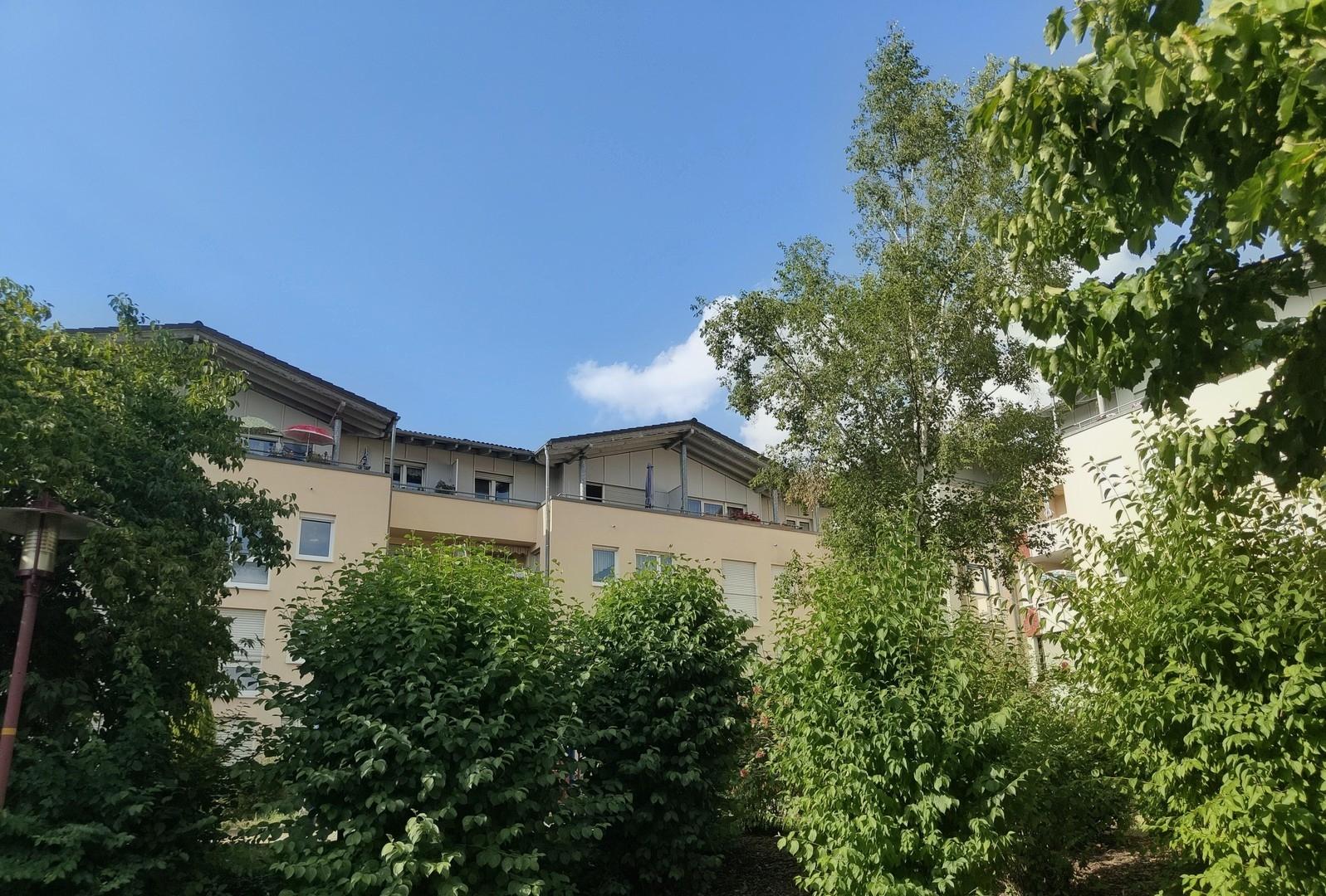Baumgesäumter Innenhof