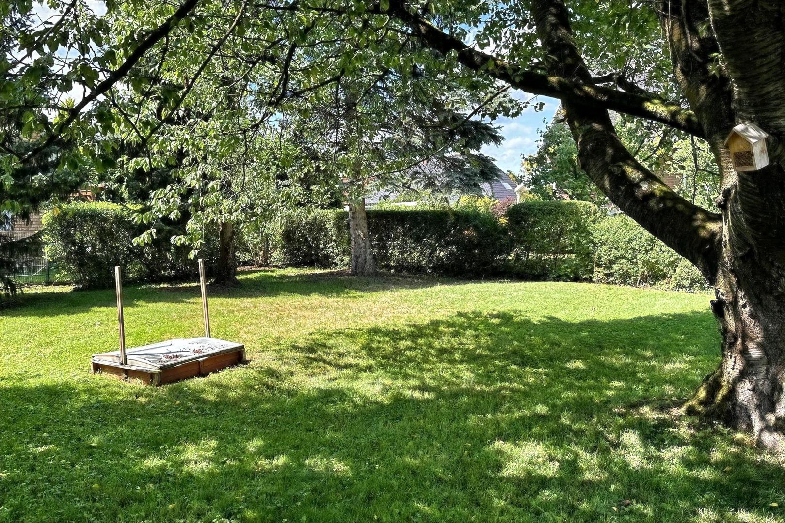 Garten / Baufläche