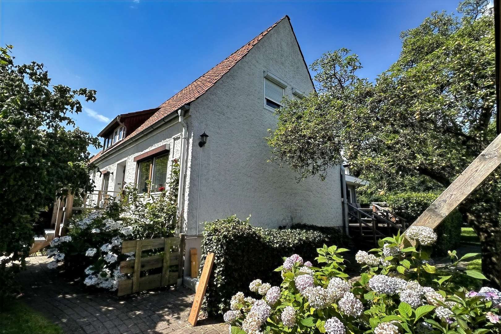 Seitenansicht