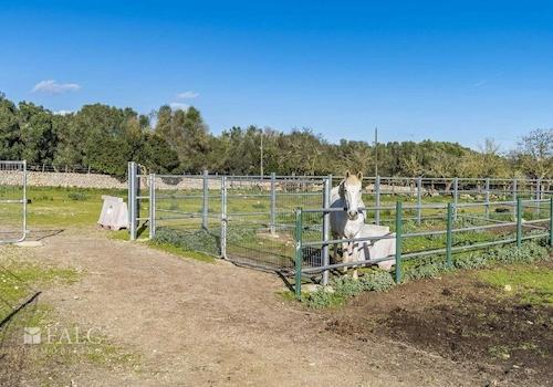 finca-lloret-de-vistalegre-22