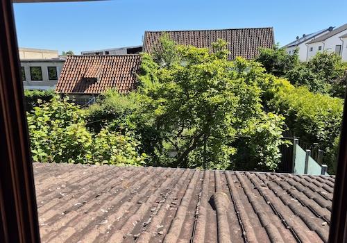 Gartenblick aus OG