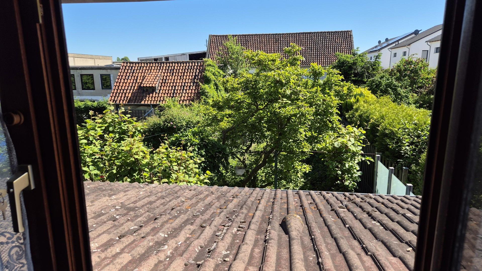 Gartenblick aus OG