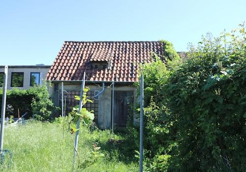 Schuppen mit Garten