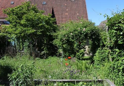 Rückansicht