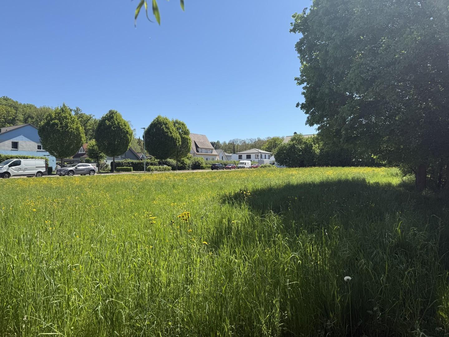 Blick auf die Anliegerstrasse