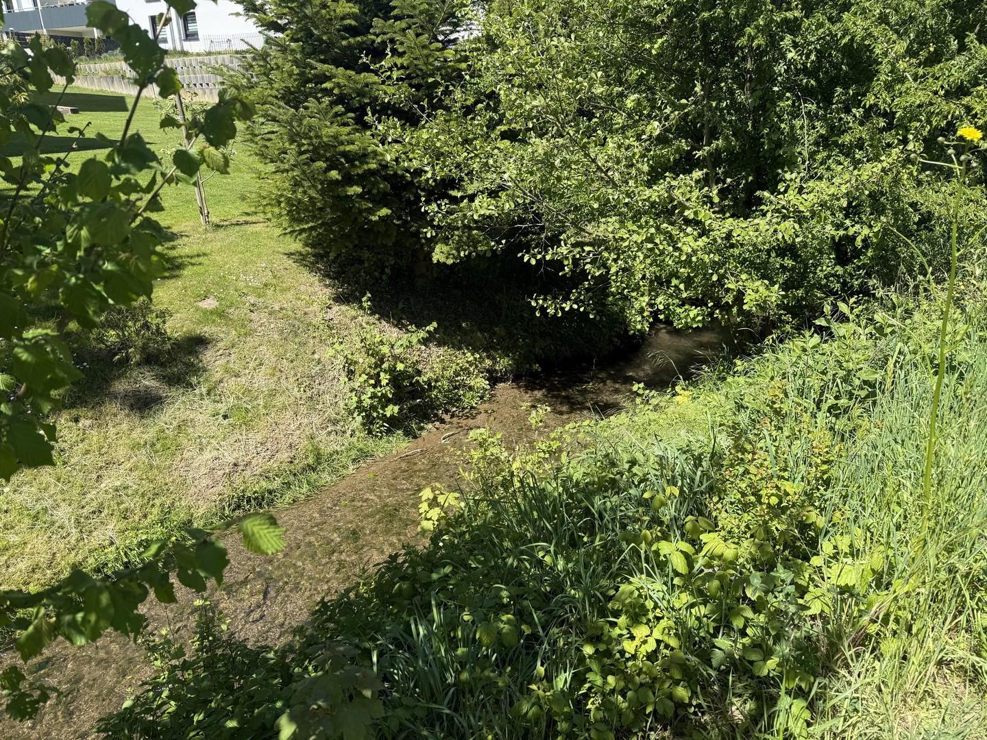 Blick auf den Angelbach