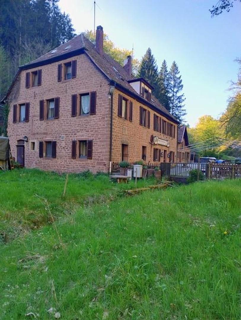 Blick vom Grundstück