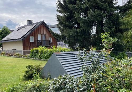 Blick in den Garten
