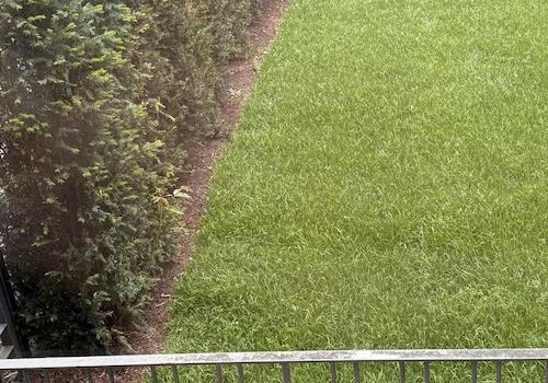 Gartenblick vom Balkon