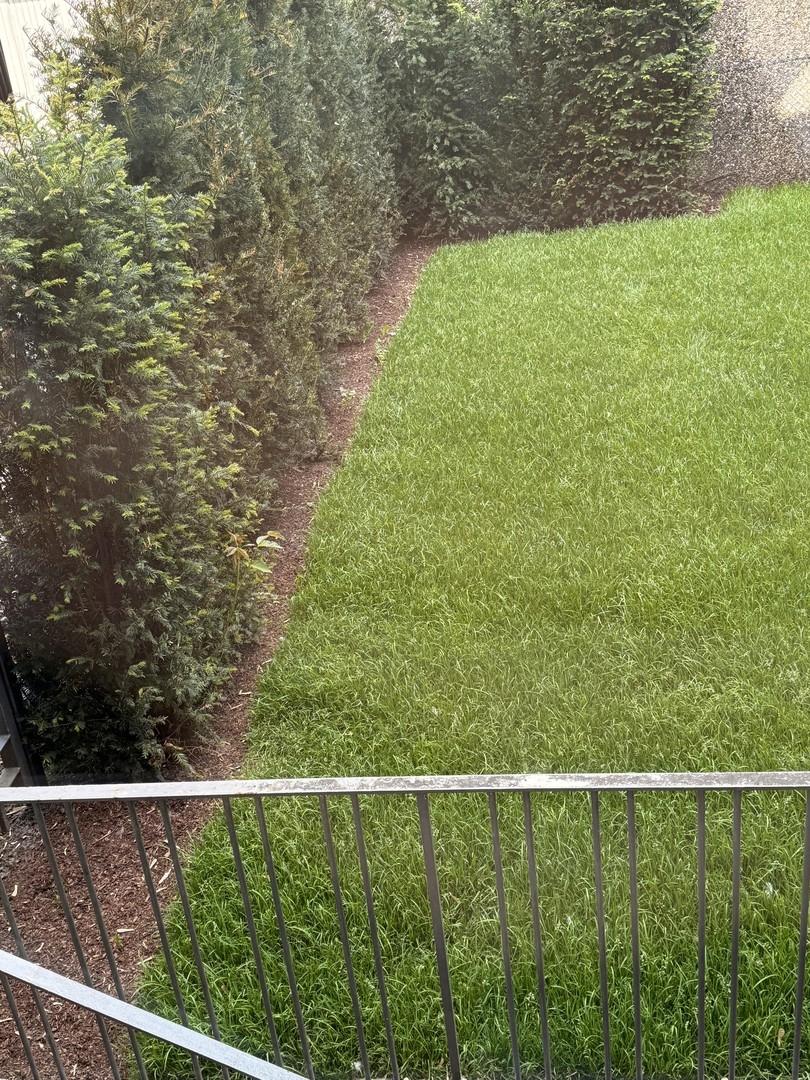 Gartenblick vom Balkon