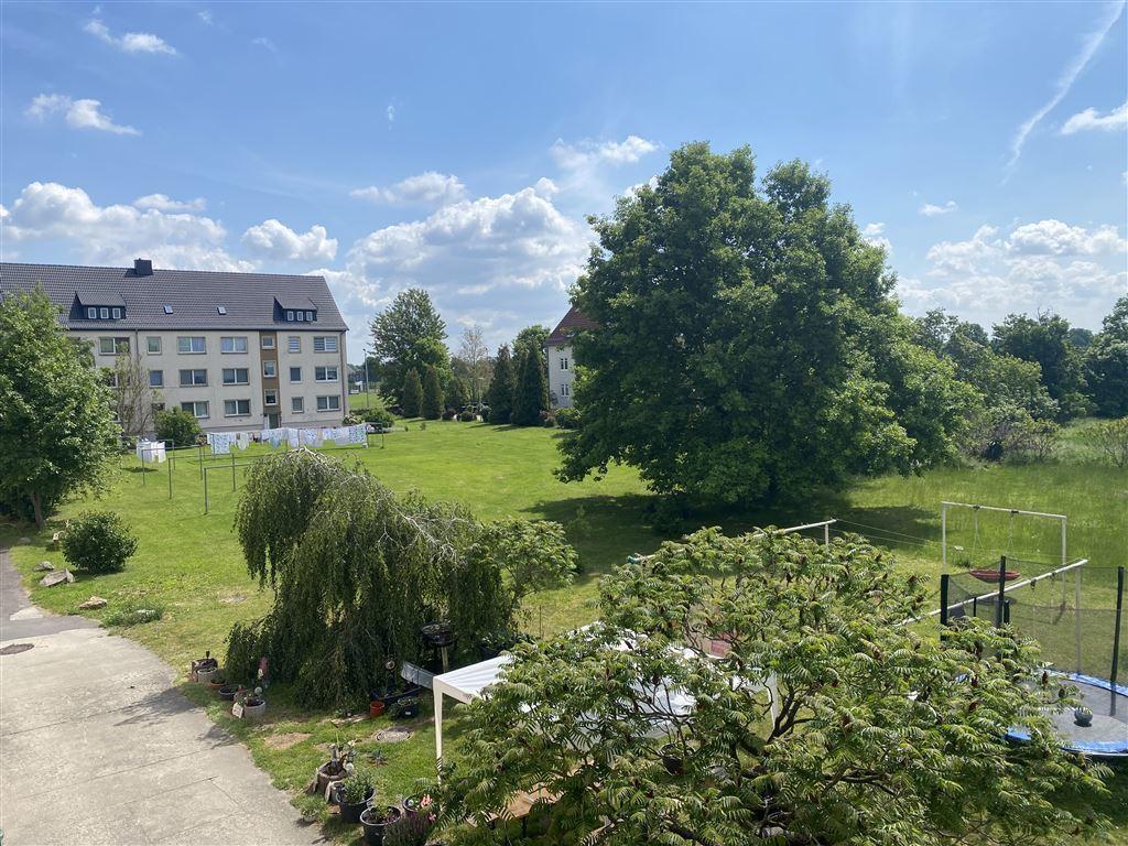 grüner Hof-ideal für Kinder