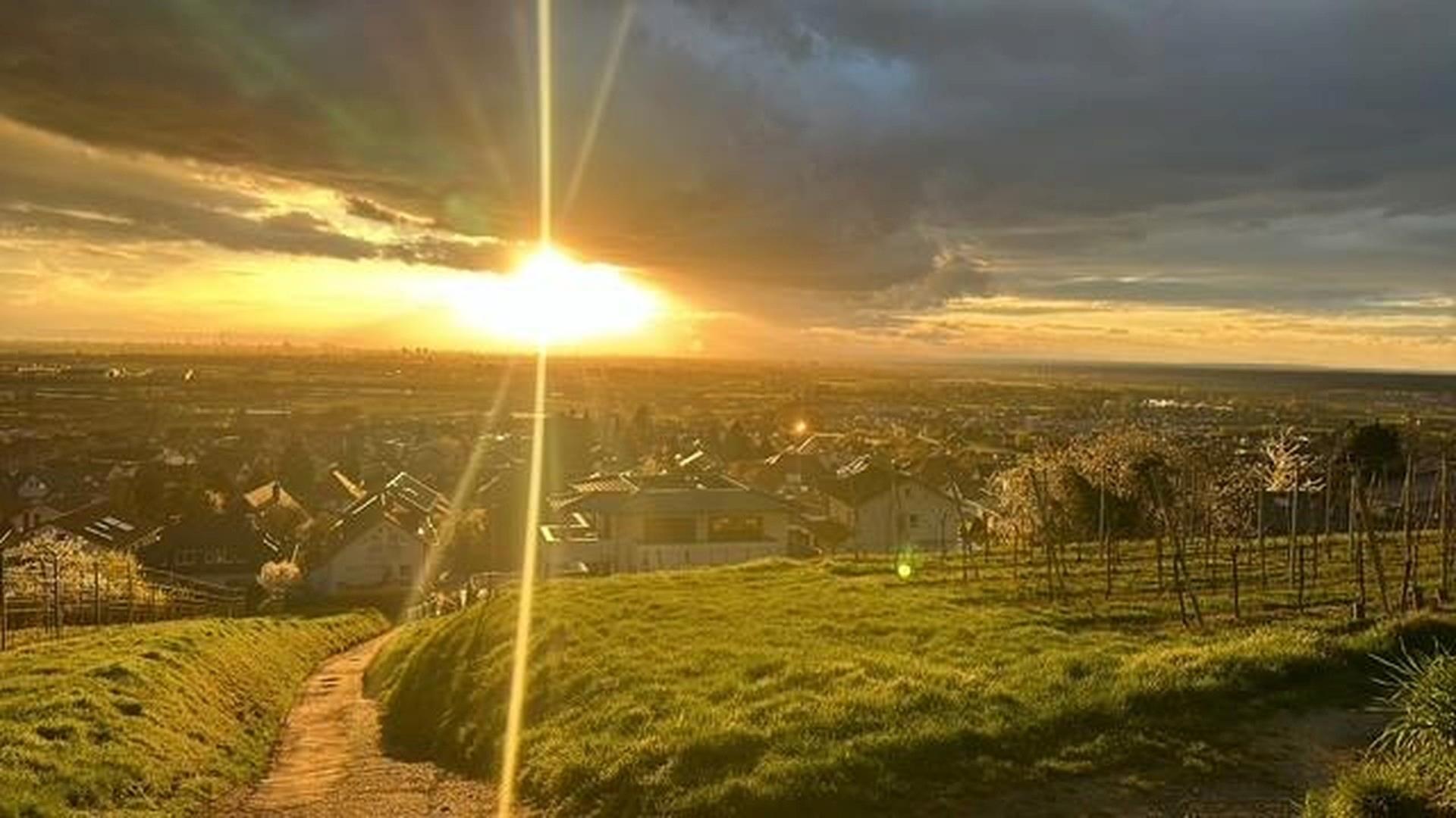 Ausblick vom Haus Weinberg