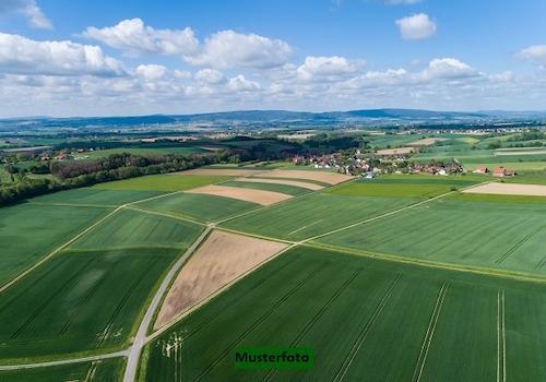 Keine Originalbilder