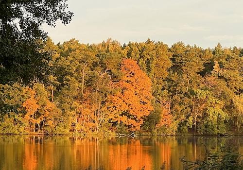 Herbst