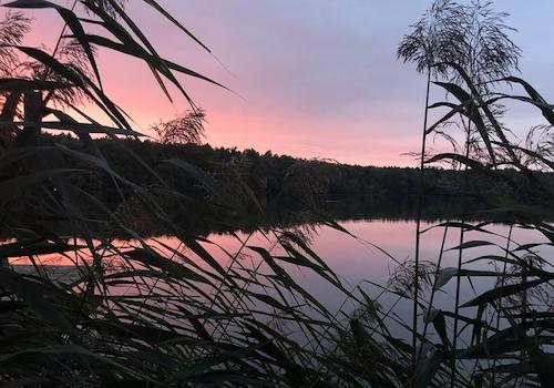 Sonnenuntergang vom Steg