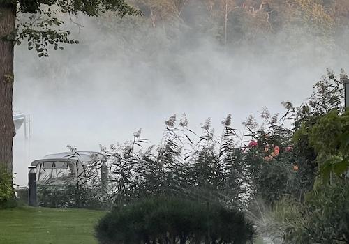 Nebel über dem See