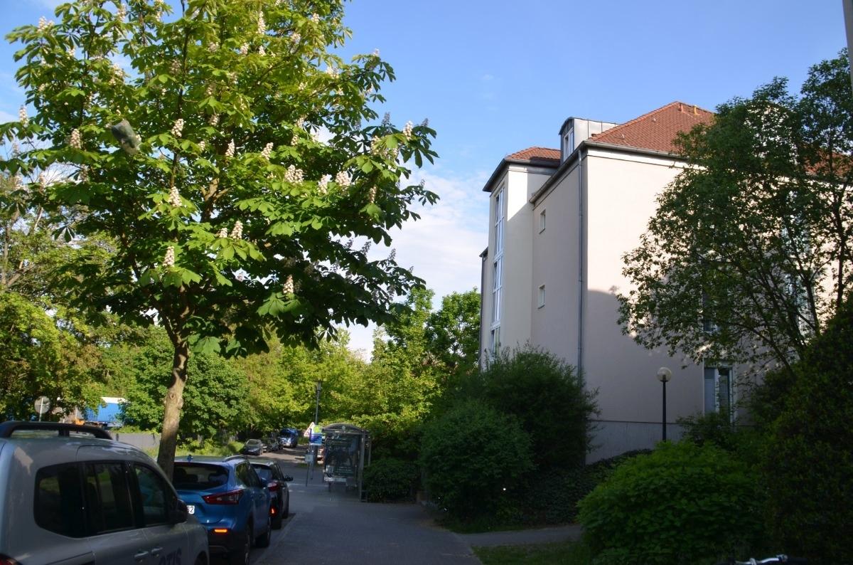 Sicht aus der Grünanlage Parkstadt