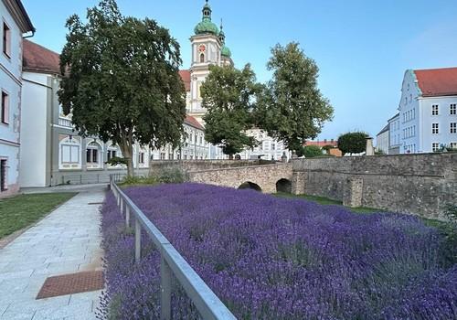 Klostergarten