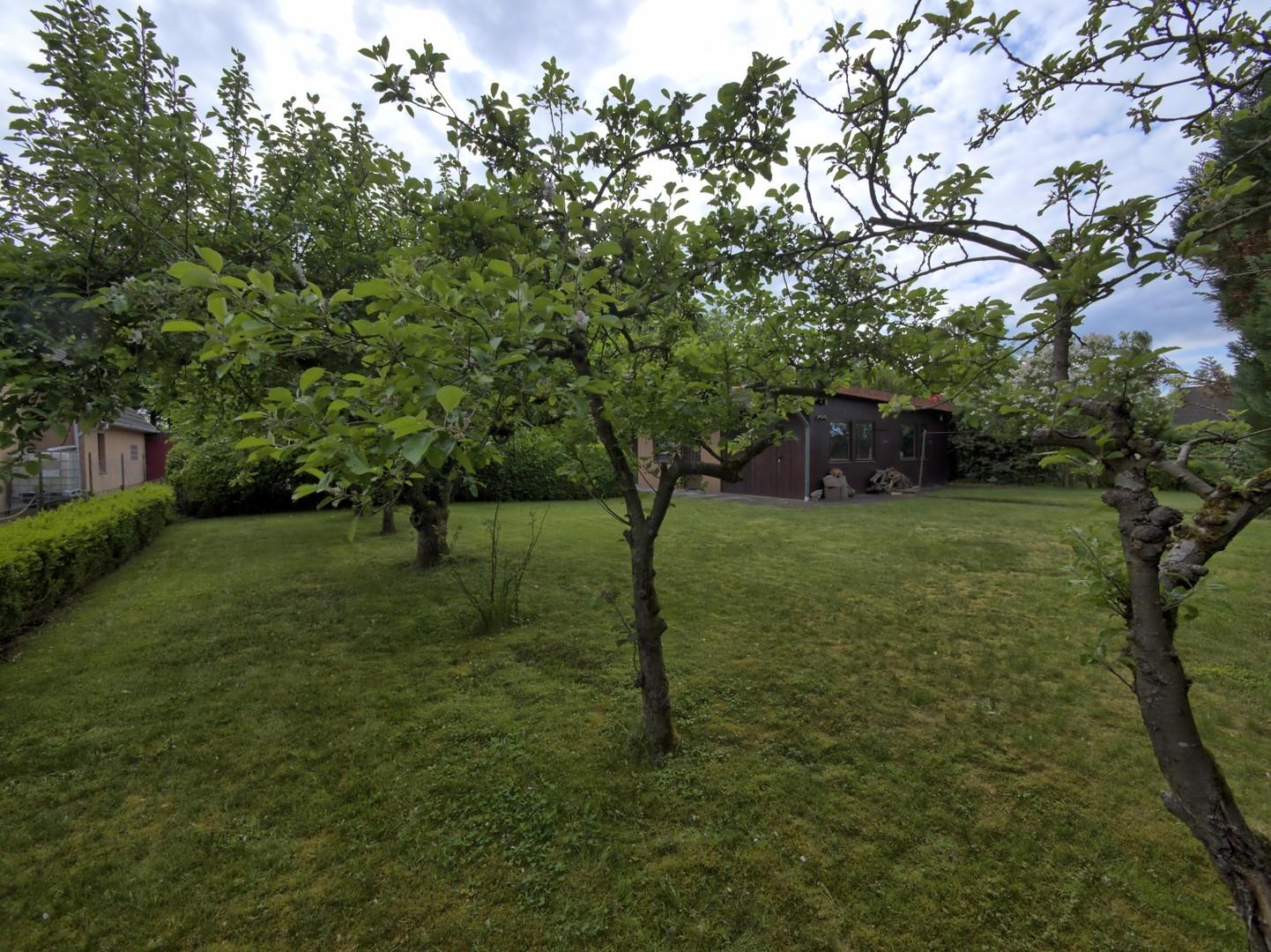 Obstbäume