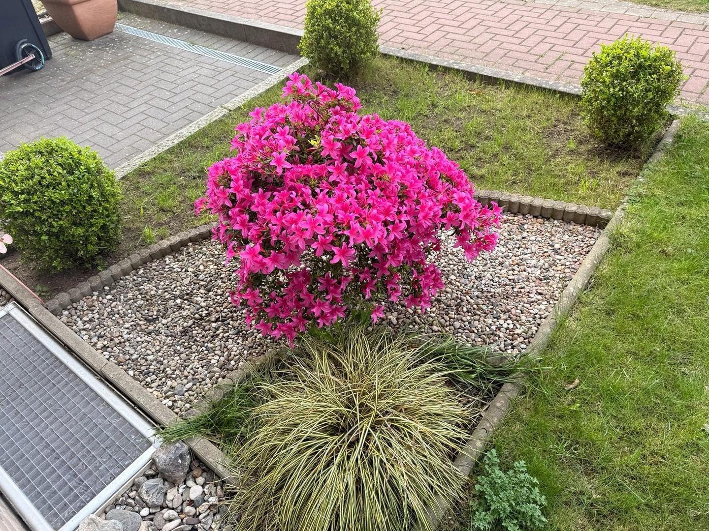 Vorgarten