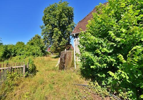 Garten hinten