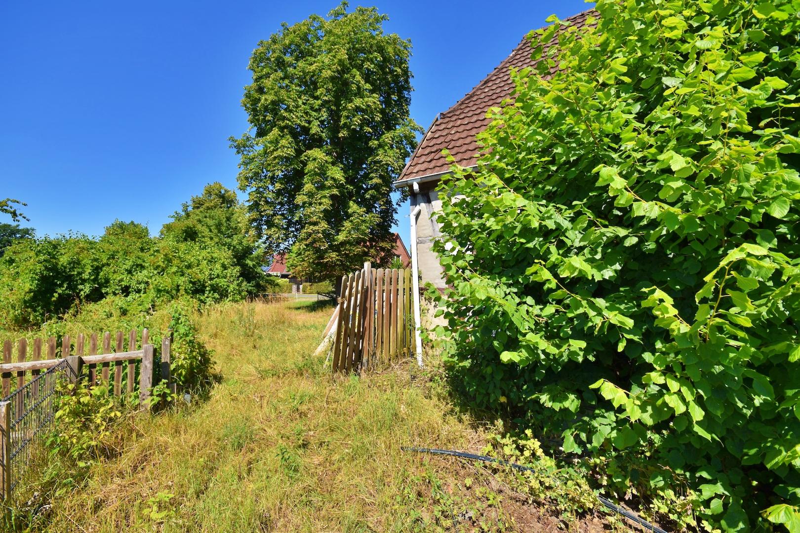 Garten hinten