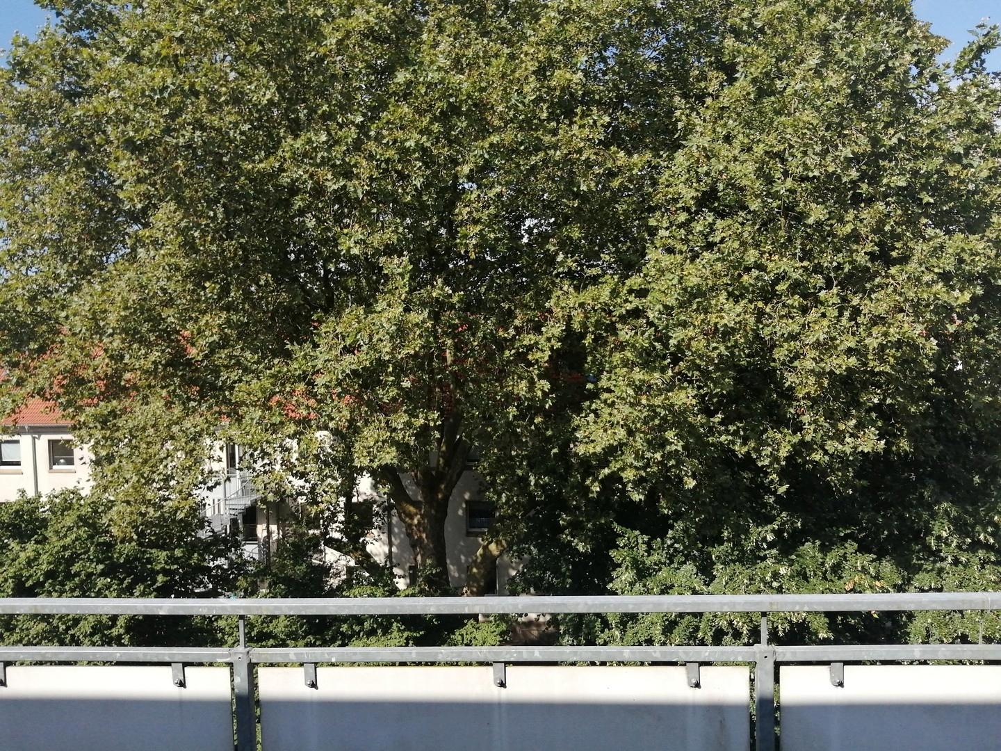 Blick von der Dachterrasse