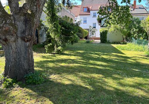 traumhafter Garten