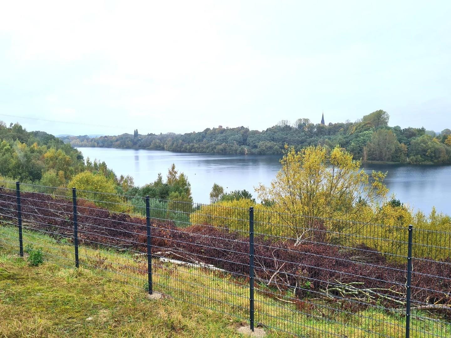 Blick vonTerrasse über den See