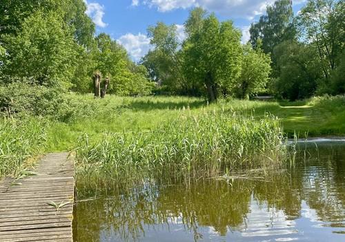 Blick vom See zum Haus