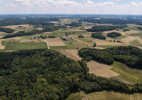 Natur vor der Haustür