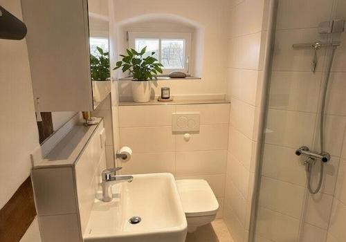 Gäste WC mit Dusche