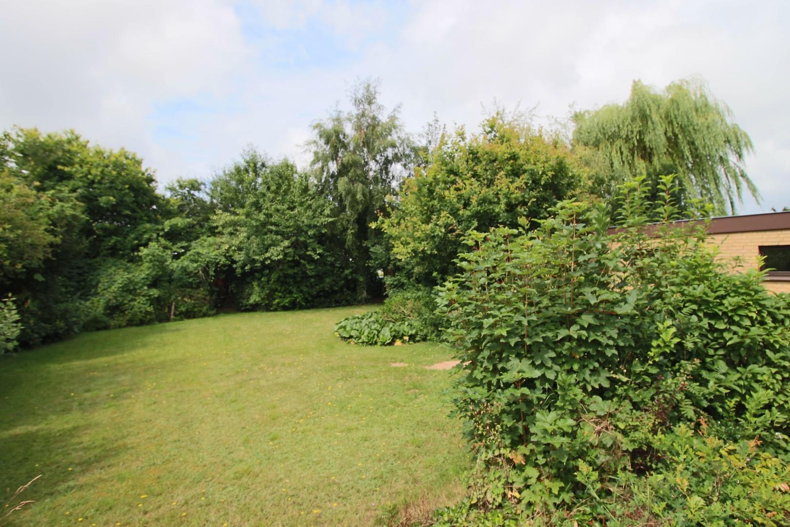 großzügiger Garten
