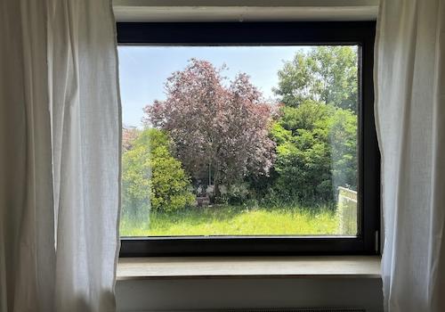 Blick in den Garten
