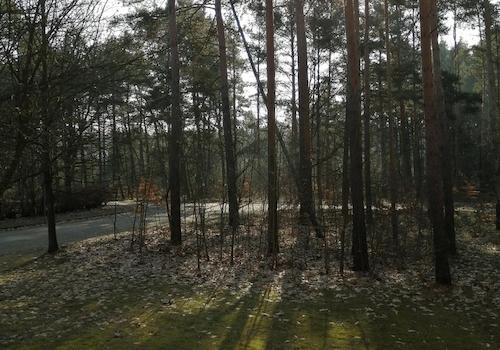 Blick vom Balkon