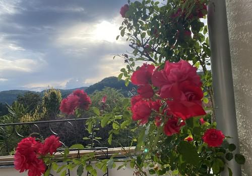 Terrasse mit Ausblick