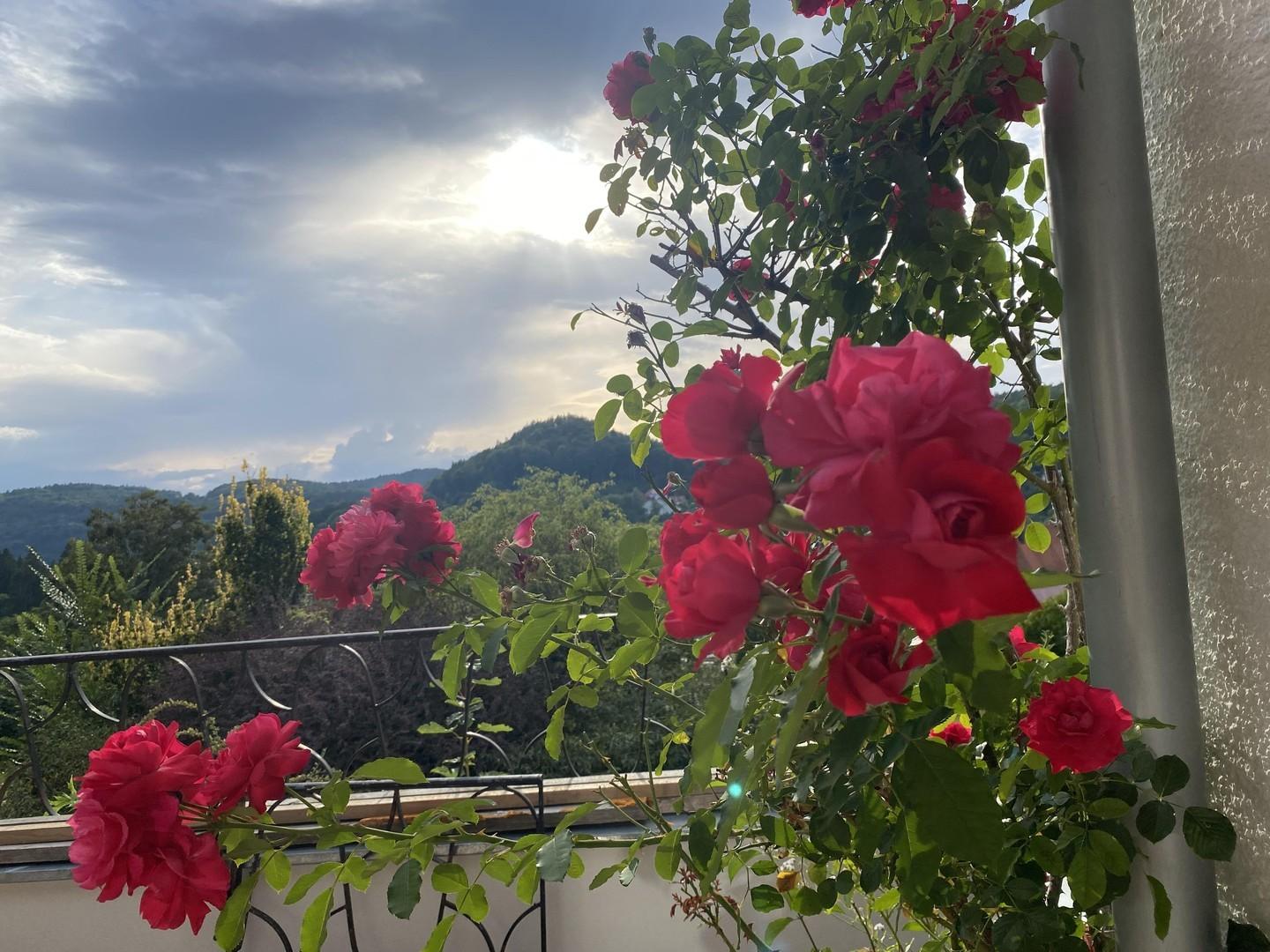 Terrasse mit Ausblick