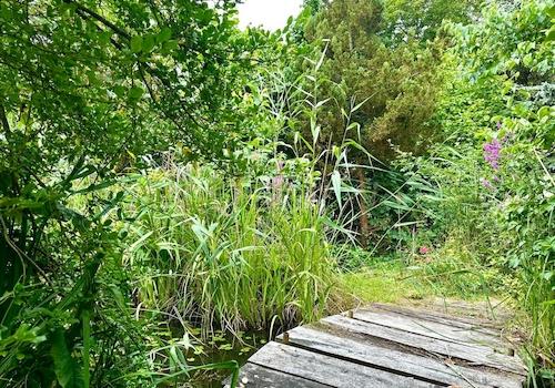 Gartenteich