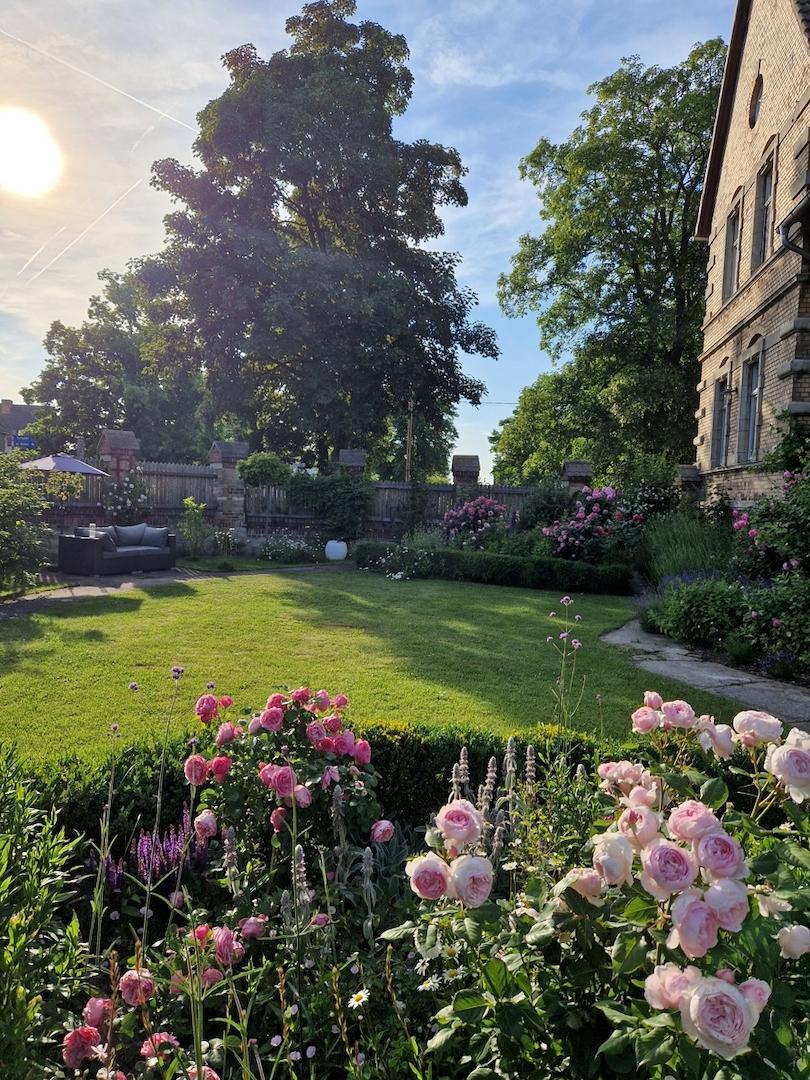 Foto Sommer Eigentümer
