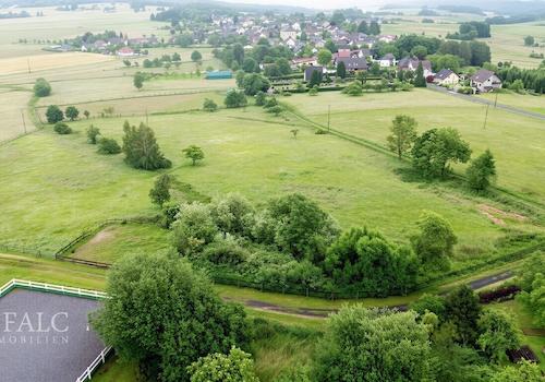 Weiden